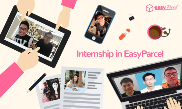 [INTERVIEW] What our interns say?