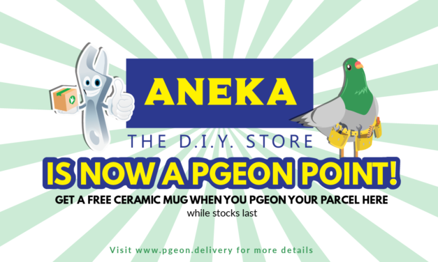 Aneka DIY Is Now A Pgeon Point!